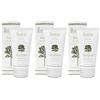 Generico L'Erbo lario - 3 x ASSENZIO Deocrema 50 ml + in OMAGGIO Tisana del benessere Tisaniamo - Crema Deodorante Alle 3 Artemisia, Fragranza Aromatica Legnosa | 3 confezioni da 50 ml