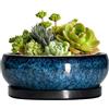 EPFamily Vaso bonsai in ceramica, 15,2 cm, con fori di drenaggio e piattini, blu