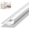 Dalsys Profilo per piastrelle, profilo quadrato, acciaio inox altezza 10mm, lunghezza 200cm, spazzolato paraspigoli muro, profili acciaio inox, profilo