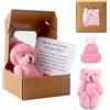 TOGETDREAM Orsetto Nella Scatola, Peluche Orso in Scatola Giocattolo Animale Fatto A Mano Con Biglietto Ispirazionale Animale Peluche Bambola Orso Tasca Per Laurea Mamma Neonato Battesimo Natale Rosa