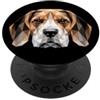 Motivo amante del beagle per padroni e p Beagle Cucciolo Beagles Cane da Caccia Cane Carino Beagle PopSockets PopGrip Adesivo