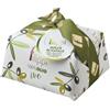 Pasticceria Filippi Panettone Classico Olio d'oliva Filippi 1000 g