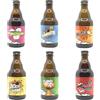 BREWERY NOVE PUNTO UNO Bira del Bocia - Cofanetto Birra Artigianale Italiana | 6 Bottiglie da 33cl in 6 Stili Diversi | Idea Regalo Degustazione