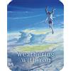 Dynit Weathering With You (Steelbook) (Blu-Ray+Dvd)