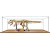 QIXINDGYH Vetrina in acrilico per Lego 76968 Dinosauro Fossile: Tyrannosaurus Rex, scatola antipolvere da 3 mm, espositore compatibile con Lego 76968 (modello non incluso) (base in legno da 2 mm)