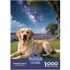 XGASVBKWA Labrador 1000 Pezzi Adulti Puzzle Familiare Decorazione Animal Gioco Di Sfida Difficili Impossibili 38x26cm/1000pcs