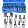drado Set di chiavi a bussola femmina a dentatura multipla 10 pezzi set di chiavi Torx M4 / M5 / M6 / M8 / M9 / M10 / M12 / M14 / M16 / M18