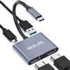 Lustrens Adattatore USB-C a doppio HDMI, 4K a 60Hz - Divisore USB-C a HDMI