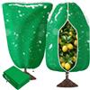 Aixxikum 2 Pezzi Cappuccio Protezione Piante 80x120cm, Telo Piante Inverno con Cerniera e Coulisse, Copertura Piante Inverno Antigelo Tessuto Non Tessuto Riutilizzabile per Olivo, Palme (Verde)
