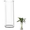 TSKDKIT Grande vaso di vetro per fiori 30 cm vaso di vetro trasparente rotondo per soggiorno moderno grande vaso (30 x 10 cm)