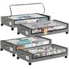 Somdot Set di 4 scatole portaoggetti con ruote, 48 l, grigio carbone | Cassettiera da letto con ruote, finestra trasparente, grande spazio per scarpe, vestiti, 43,5 x 78,5 x 17 cm (profondità x