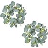 Nexbrill Confezione da 2 ghirlande di eucalipto artificiale da 22 cm, anelli floreali in seta verde per porta d'ingresso, parete, cucina, finestra, decorazione resistente ai raggi UV, ornamenti da