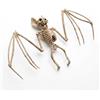 BASTOUR Scheletro di pipistrello per Halloween, orribile pipistrello, decorazione di Halloween, scheletro di animali mobili, decorazione di Halloween per casa infestata, feste