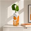 BADCRIS Vaso Decorativo per la Casa a Forma di Cartone del Succo d'Arancia | Vaso da Fiori in Ceramica Vintage, Vaso da Tavolo Particolere, Centrotavola Retrò per Cucina, Soggiorno, Ufficio 22x7cm