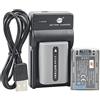 DSTE NP-FP50 Li-ION - Batteria (2-Pack) e caricabatterie USB per Sony DCR-DVD103, DCR-DVD105, DCR-DVD203, DCR-DVD205, DCR-DVD305, DCR-DVD92, DCR-HC20