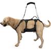 Coodeo Imbracatura per Cani, Supporto Completo e Fodera di Recupero, Regolabile con Cinghie Traspiranti per Cani Anziani, Disabili, con Artrite e Paralisi, aiuto per Camminare (Nero, M)