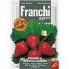 Franchi Sementi FRAGOLA 4 STAGIONI