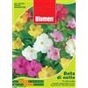 Blumen SEMENTI DI BELLA DI NOTTE giardino semi seeds fiori aiuole blumen