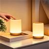 CAKLIK Set di 2 Lampada da Comodino Senza Fili LED, 256 RGB e 3 Modalità | 2000mAh Luce Notturna Bambini Ricaricabile, con Timer per Camera da letto, Soggiorno, Camping