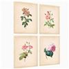 Nacnic ® - Set di 4 Poster botanica - Stampe Decorative da Parete - Quadri Moderni per Soggiorno - Poster floreale rosa da pareteA3 - Senza Cornice