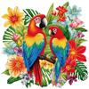 cukol cukol Kit Punto Croce da Ricamare Prestampato Completo, 11CT 36x36 cm | Quadro Pappagallo, Schemi Facili per Principianti, Set Ricamo ha Aspetto Raffinato per Decorazioni Parete, Hobby Creativi
