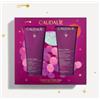 Caudalie Cofanetto The des Vignes rituale corpo - Gel doccia e crema corpo 200 ml