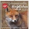 Neumann Verlage GmbH & Co Geheimnisvolles Waldleben 2027: Wandkalender 30x30 cm (30x60 cm geöffnet) mit Notizkalendarium, 12 Waldtier-Fotografien und Bucket-List