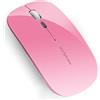 Uiosmuph Q5 Mouse Wireless, 2,4GHz Ricaricabile Silenzioso Mouse,Rosa | 1600DPI, Ricevitore USB e adattatore Type-C, indicatore batteria, Ambidestro, Portatile, per Computer/Laptop/Mac OS/Android