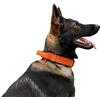 DINGO GEAR WWW.DINGOGEAR.COM 1977 DINGO GEAR Drago - Collare per cani in pelle, ammortizzato, con manico largo e resistente, fatto a mano, circonferenza del collo 56-64 cm, per allenamento e passeggiate, protezione da tiro,