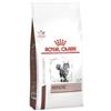 ROYAL CANIN Veterinary Hepatic Feline | Crocchette per gatti | 2 kg | Funzione epatica | Royal Canin | Alimento dietetico completo | Per supportare la funzione epatica in caso di insufficienza cronica