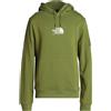 THE NORTH FACE M FINE ALPINE HOODIE - Felpa - Verde