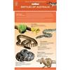 Reptiles of Australia ID Chart (Mixed Media Product)