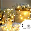 Wisdom Catena decorata con 160 Led a mini sfere luminose Bianco Caldo 16 metri con cavo trasparente Wisdom
