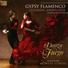 Danza Fuego Gypsy Flamenco: Leyenda Andaluza (CD) Album
