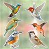 JSRQT Decalcomanie magnetiche per porte 12 pezzi magneti per porte schermate colibrì protezione flessibile per porta scorrevole finestra animali domestici adesivo schermo doppio lato decorativo sicuro
