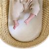 Clair de Lune Materasso trapuntato Noah Pod/Palm Moses culla - 74 x 28 cm