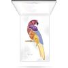 Pupa Parrot Trousse Ombretti N.001 Samba