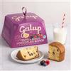 Generico Panettone 750g ai Frutti di Bosco e Cioccolato Bianco - Dolce Natalizio Artigianale con Glassa alle Nocciole - Impasto Soffice e Profumato a Lievitazione Naturale - Idea Regalo Gourmet per Natale