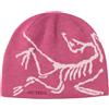 Arc'teryx - Cappello in lana merino - Bird Head Toque LT Renegade Rose - Rosa