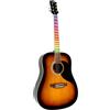 EKO GUITARS-RANGER BROWN VISUAL NOTE, Chitarra Acustica Dreadnought Visual Note, Top in Abete, Fasce e Fondo in Linden, Lamina LED Visual Note che si interfaccia con l'APP, Colore Sunburst
