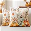 Artscope 2 Pezzi Federe Cuscini di Autunno Hello Pumpkin Cuscino Decorativo in Lino Giorno del Ringraziamento per la Decorazione Domestica Soggiorno Camera da Letto Divano 40x40cm (Zucca e Foglie)