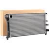 RIDEX 470R0660 Radiatore motore Compatibilità con FIAT PANDA 169