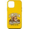Lincoln RI Squirrel Co. Custodia per iPhone 12 mini Lincoln Rhode Islands Squirrel Est 1871 Città natale