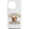 Lincoln Rhode Island Custodia per iPhone 13 Pro Lincoln Rhode Islands RI Città natale Locale New England