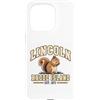 Lincoln Rhode Island Custodia per iPhone 15 Pro Lincoln Rhode Islands RI Città natale Locale New England