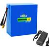WILLQ Batteria ricaricabile LiFePO4 12,8V batteria backup illuminazione solare | Batteria al litio 12V (capacità: 6Ah - 60Ah), rivestimento in PVC, connettori DC+XT60, inclusi caricabatterie e BMS