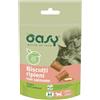 Oasy Cat Snack Biscotti Ripieni Al Salmone 60g, Salmone