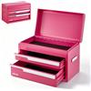 VEVOR Cassetta Portautensili in Acciaio con 2 Cassetti Vano Superiore Rosa, Cassetta Porta Attrezzi Portatile, Design Magnetico, con Rivestimenti Protettivi, per Garage, Officina e Banco da Lavoro