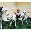 Rex Orange County WHO CARES? Album