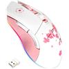 DAREU Mouse da gioco senza fili, ricaricabile a doppia modalità, 6 pulsanti programmabili, 10K DPI, RGB e 7 DPI fino a [150 IPS][frequenza di campionamento di 1000 Hz] per PC/Mac